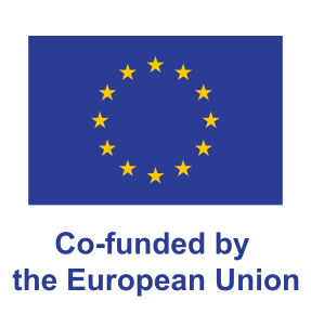 Co-funded by the European Union