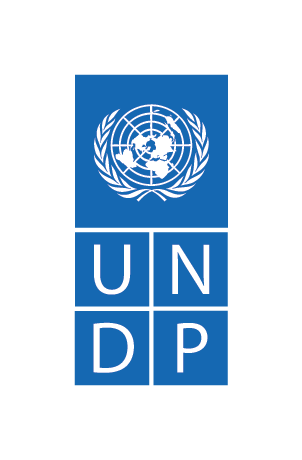 UNDP Logo